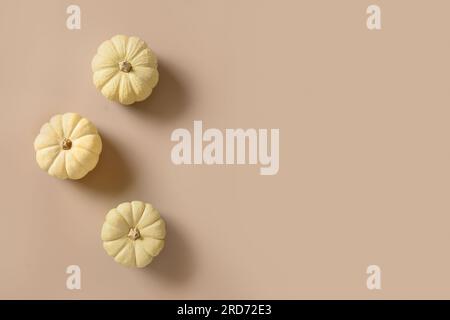 Autumn composition of white three pumpkins on beige background. Seasonal fall flat lay. Top view. Thanksgiving Day. Copy space. Minimal style. Stock Photo