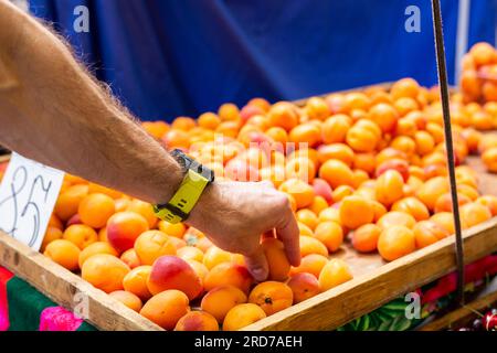 fruits and vegetables in the street market Stock Photo