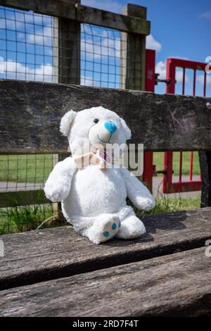 Abandoned teddy bear left outdoors, to find a new owner Stock Photo - Alamy