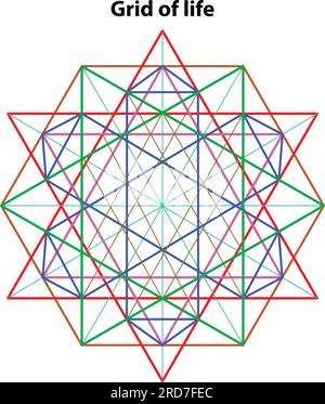 Grid of life. Scared Geometry Vector Design Elements color line art. This is religion, philosophy, and spirituality symbols. the world of geometry. Stock Vector