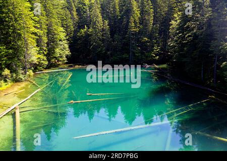 Spectacular Bodensee lake, reflection in the water full of logs, in the middle of the forest in the mountains near Nassfeld ski resort in Austria Stock Photo