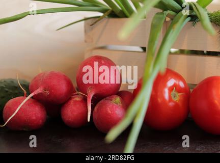 Set of different fresh vegetables close-up. Wooden white basket with harvest. Cucumbers, tomatoes, radishes, green onions and dill. Freshly harvested Stock Photo