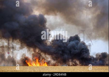 19 July 2023, Saxony-Anhalt, Lützen: A grain field is burning in several places. Photo: Jan Woitas/dpa Stock Photo