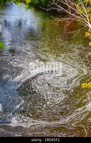 Small river flowing into Sparrow Lake in Muskoka Ontario Canada Stock Photo