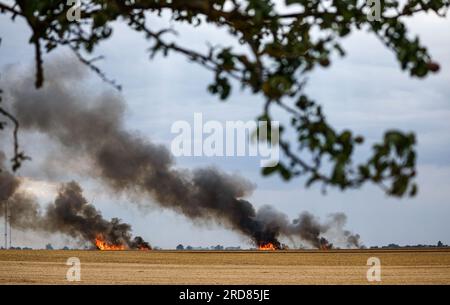 19 July 2023, Saxony-Anhalt, Lützen: A grain field is burning in several places. Photo: Jan Woitas/dpa Stock Photo