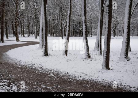 Germany, Bavaria,  Munich, Schleissheim Palace Park, snowy Sunday morning with path through snow spattered trees in the park. Stock Photo