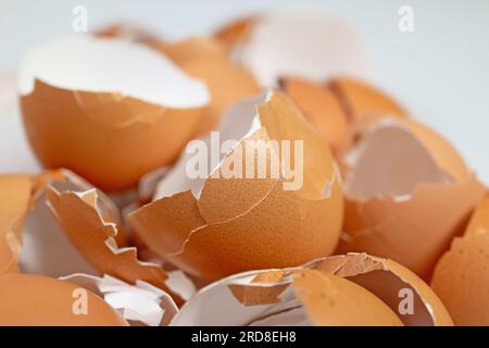 Egg shells in a closeup Stock Photo