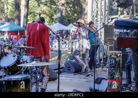 Grass Valley, United States. 15th July, 2023. California WorldFest Takes Place in Northern California During Western U.S. Heatwave. Jupiter & Okwess performs their blend of Congo rhythm, funk and rock. July 15, 2023 (Photo by Penny Collins/NurPhoto) Credit: NurPhoto SRL/Alamy Live News Stock Photo