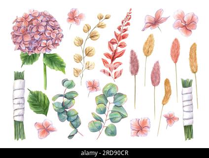 Set with hydrangea, eucalyptus, abstract plants, lagurus spikelet and accessories for brides bouquet. Bright clipart in autumn trendy colors. Stock Photo