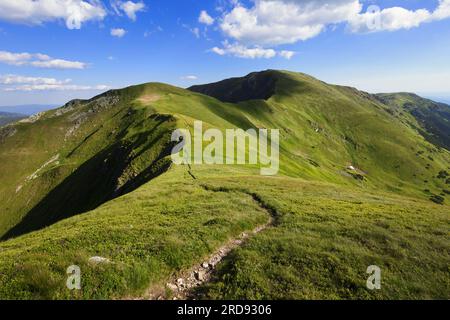 Skalka mountain. View from Kotliska, Low Tatras, Slovakia. Mountain landscape in summer during sunny day. Footpath leading to the top of big mountain. Stock Photo