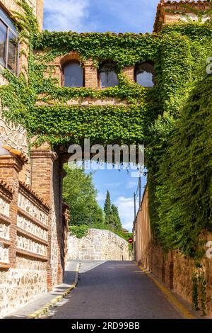 Narrow stone passageway on a medieval street of Segovia, Spain, overgrown with lush green ivy (Hedera). Stock Photo