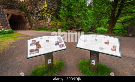 Interpretive sign at Oneonta Gorge and tunnel, Columbia River Gorge National Scenic Area, Oregon USA Stock Photo