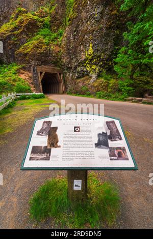 Interpretive sign at Oneonta Gorge and tunnel, Columbia River Gorge National Scenic Area, Oregon USA Stock Photo