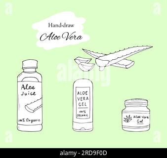Hand drawn Aloe Vera juice and gel set. Aloe vera vector illustration. Botanical isolated illustration. Stock Vector