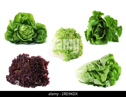 Different types of lettuce isolated on white, collage design Stock Photo