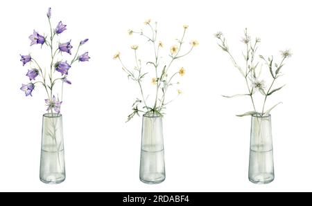 Watercolor botanical illustration. Clipart of meadow and forest flowers in a glass vase. Stellaria holostea, bluebell, buttercup. For design of Stock Photo