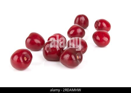 Red sweet cherry isolated on white background Stock Photo
