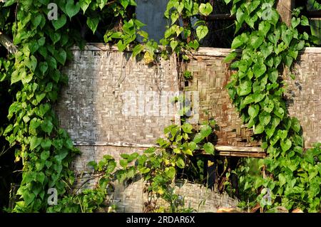Frame of woven bamboo and vines background Stock Photo