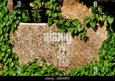 Frame of woven bamboo and vines background Stock Photo
