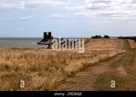 View of the grassland site on the top of Bishopstone cliffs nature reserve, looking towards the remains of St Mary's Church, Reculver, Kent Stock Photo
