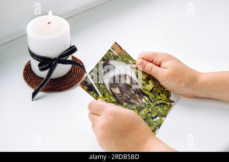 Child hands holding picture of deceased pet rat. Concept of child grieving pet. White candle with black ribbon. Stock Photo