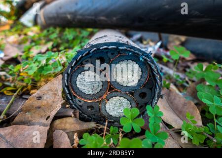 A cut off fiber cable exposing inside wires and components. India Stock Photo
