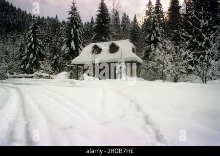 Tarcau Monastery, Neamt County, Romania, 1999. Small traditional cabin serving as monastic cell. Stock Photo