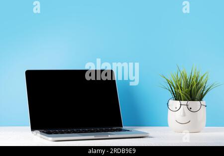 Laptop with blank screen for your message, app or web and potted plant. Computer with black display. Over blue background Stock Photo