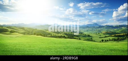 Idyllic landscape featuring a green meadow and majestic snowy mountains in the background Stock Photo