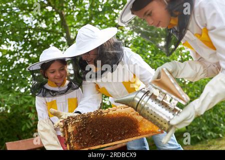 Senior female apiarist teaching about honeycomb frame to girls at apiary garden Stock Photo