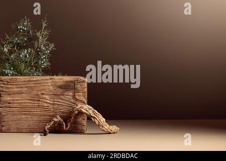 Abstract composition of old wooden plank and juniper branch. Neutral beige background for cosmetic, beauty product branding, and spa concept. Natural Stock Photo