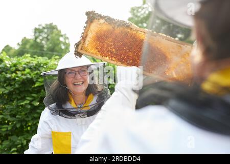 Happy senior beekeeping woman analyzing honeycomb frame with man at apiary garden Stock Photo