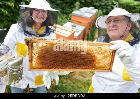 Smiling senior beekeeping couple analyzing honeycomb frame at apiary garden Stock Photo
