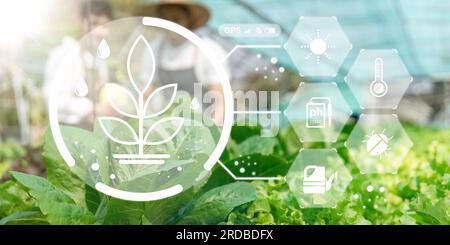 Agriculture technology farmer to research about agriculture problems analysis data and visual icon Stock Photo