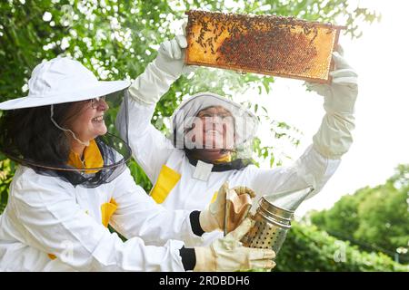 Happy senior female apiculturist holding smoker by male beekeepers examining honeycomb frame at apiary garden Stock Photo