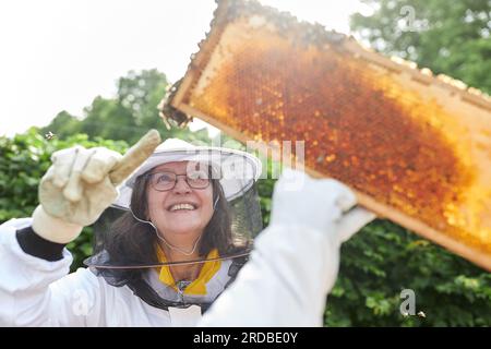 Smiling senior female apiarist pointing at honeycomb frame while analyzing in garden Stock Photo
