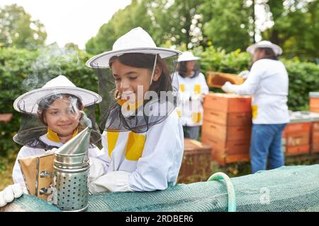 Smiling girls wearing protective suit looking at smoke emitting from smoker near beehive in apiary Stock Photo