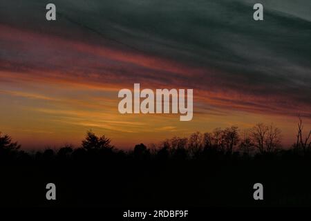 Sunset clouds being floodlit in different colors over silhouette of forest Stock Photo