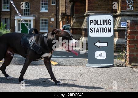 London, UK.  20 July 2023. A dog passes the exterior of the polling station at St Andrew's Church in Uxbridge, north west London.  Local residents in the constituency of Uxbridge and South Ruislip are voting in a by-election to choose their new Member of Parliament after the resignation of their former MP, Boris Johnson.  Two other constituencies, Selby and Ainsty, and Somerton and Frome, which were won by Conservatives at the last general election in 2019, are also having a by-election today.  Credit: Stephen Chung / Alamy Live News Stock Photo