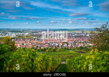 Germany, Fellbach city skyline vineyard panorama view autumn nature landscape above roofs houses tower vineyard at sunset with blue sky and sun Stock Photo