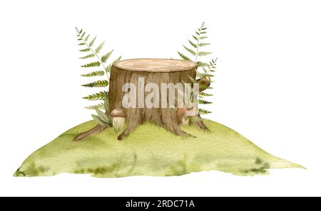 Mossy Stump with green Fern. Watercolor hand drawn illustration of forest environment isolated on white background. Drawing of Woodland with mushrooms and green plants on a lawn. Sketch of landscape. Stock Photo