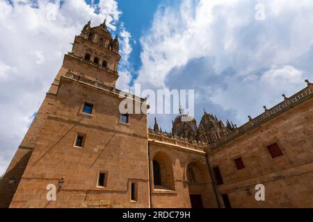 Old Romanesque cathedral and New cathedral built during the 16th century in renaissance style, also called plateresque style. Salamanca, Spain. Stock Photo