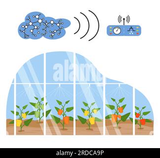 Remote control of intelligent agricultural greenhouse system using digital device Vector illustration. Hydroponics, aeroponics process of growing plan Stock Vector