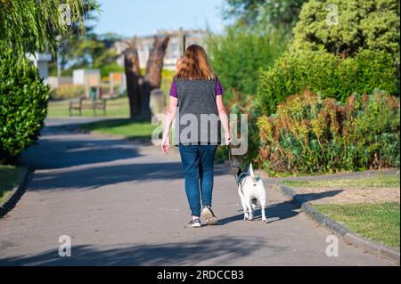 A woman walking a dog along a path in a park in Summer, UK. Stock Photo