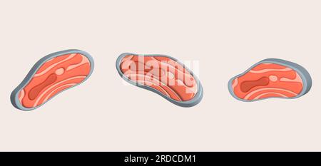 3D illustration, thick slices of raw salmon of fresh sashimi or trout sashimi. Stock Vector