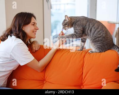Young woman is playing with her gray cat on orange sofa at home. friendship love for pets concept, cat with complex character, unkind and wild Stock Photo
