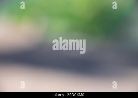 Blur bokeh natural background, Sparkling green, yellow, bright red, bright orange. Stock Photo