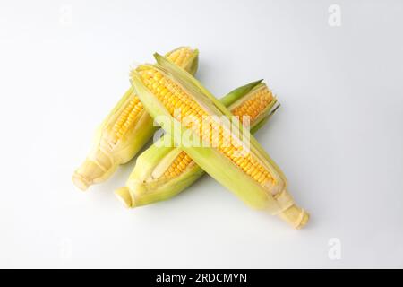 raw corn maize cob isolated on white background Stock Photo
