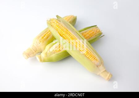 raw corn maize cob isolated on white background Stock Photo