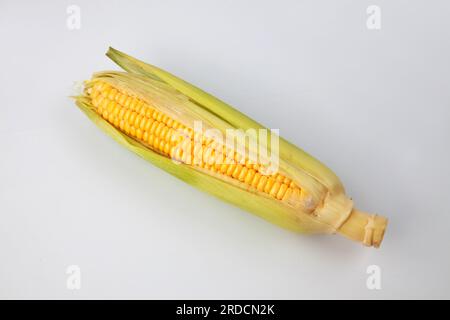 raw corn maize cob isolated on white background Stock Photo